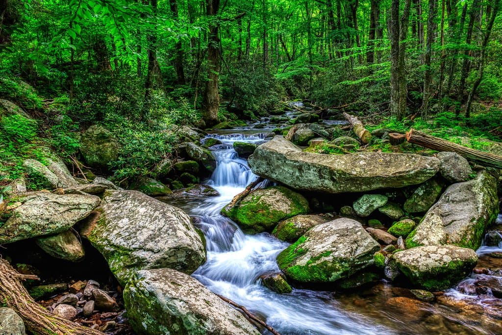 From the Roaring Fork Motor Trail May, 2019 *1 sec exposure*  Too many cars to take a longer exposure ha ha... Beautiful trail