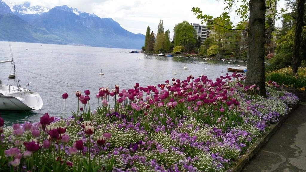 Montreux Jazz Festival