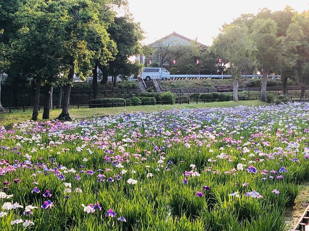 Explore Mizumoto Park