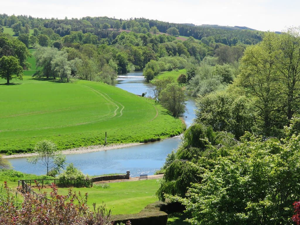 Looking down to the river