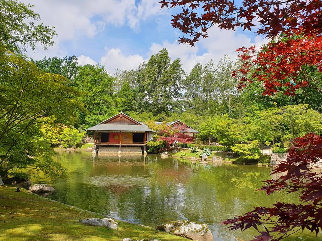Zicht op het theehuis