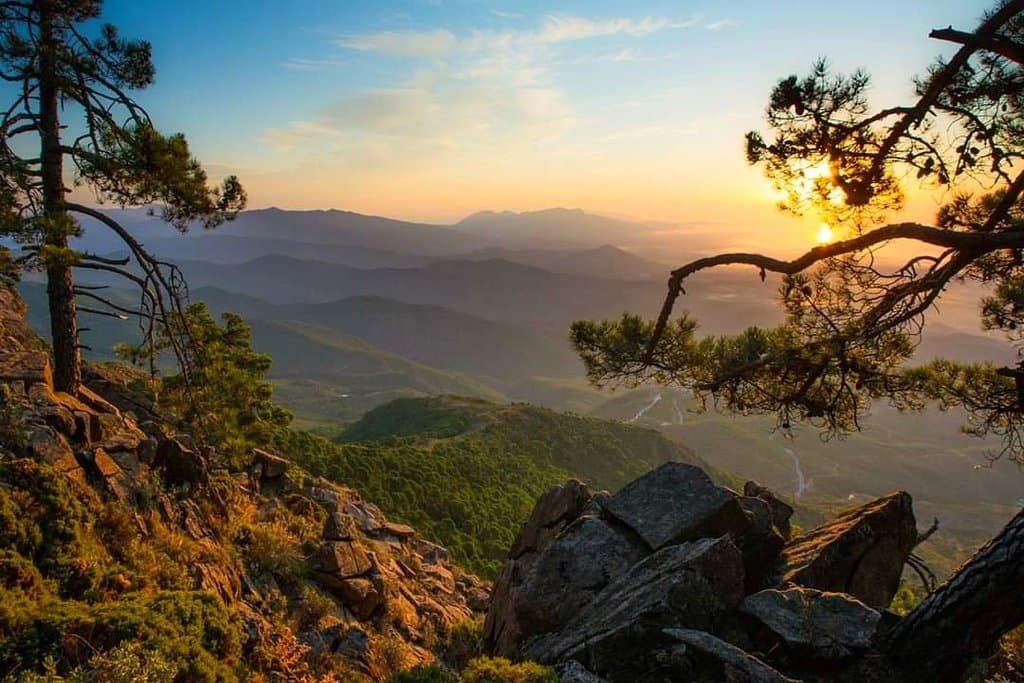 Los Reales de Sierra Bermeja