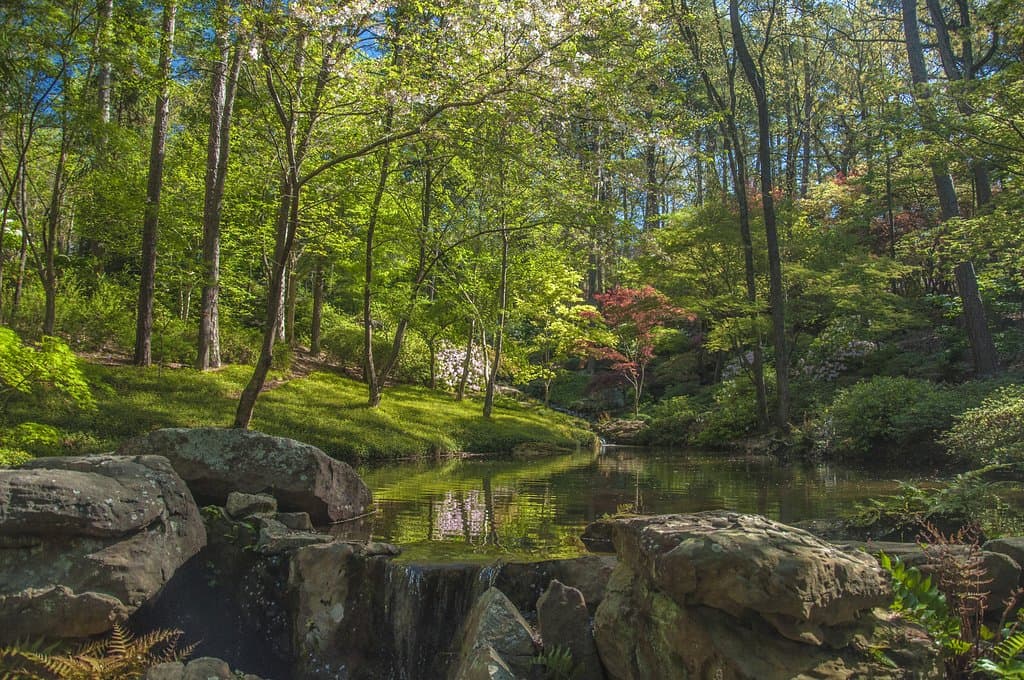 Garden of the Pine Wind in late spring