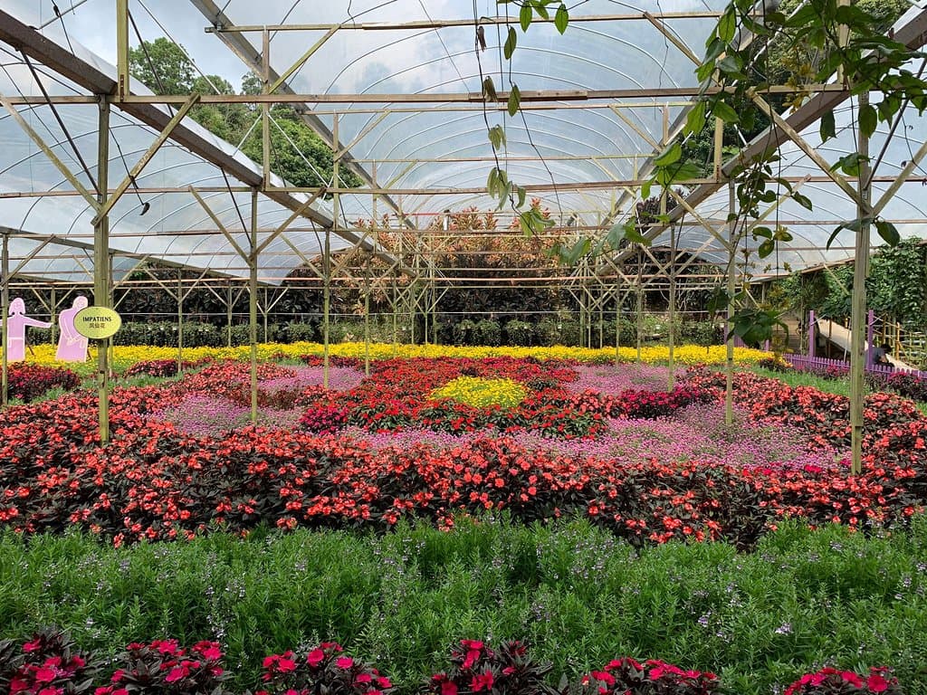 Nice farm so organized and clean