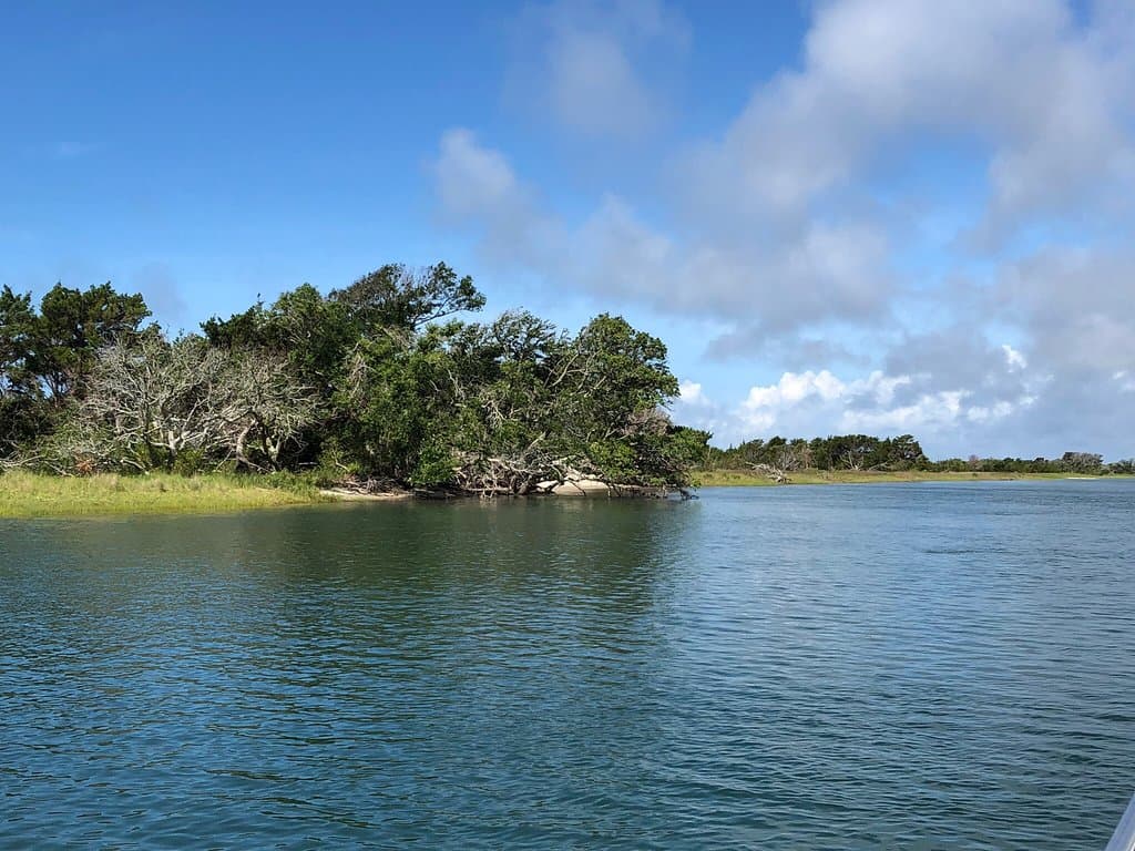 Pics taken during the Rachel Carson Reserve Circumnavigation Cruise sponsored by the North Carolina Coastal Reserve