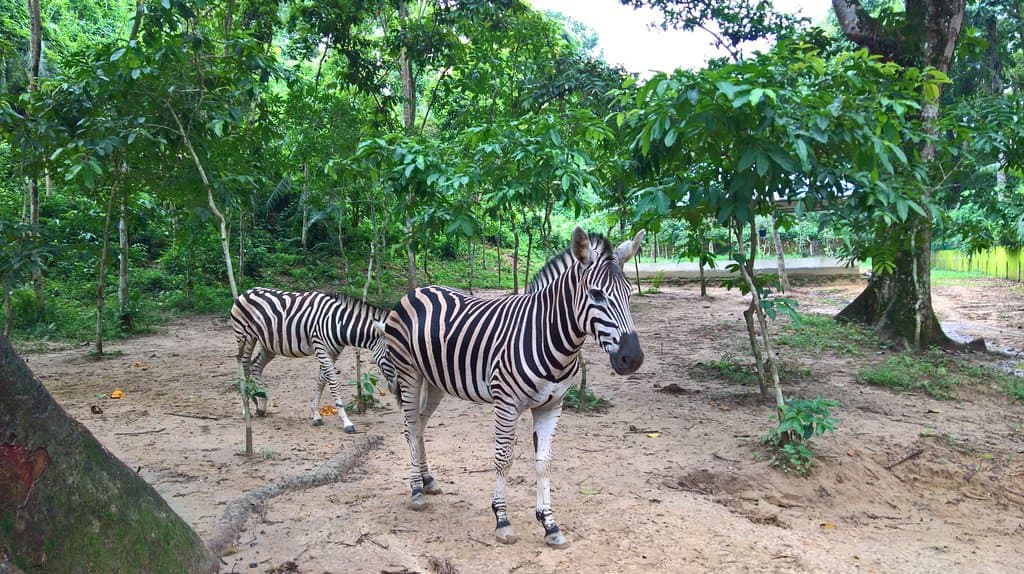 Tilagor Eco Park, Sylhet