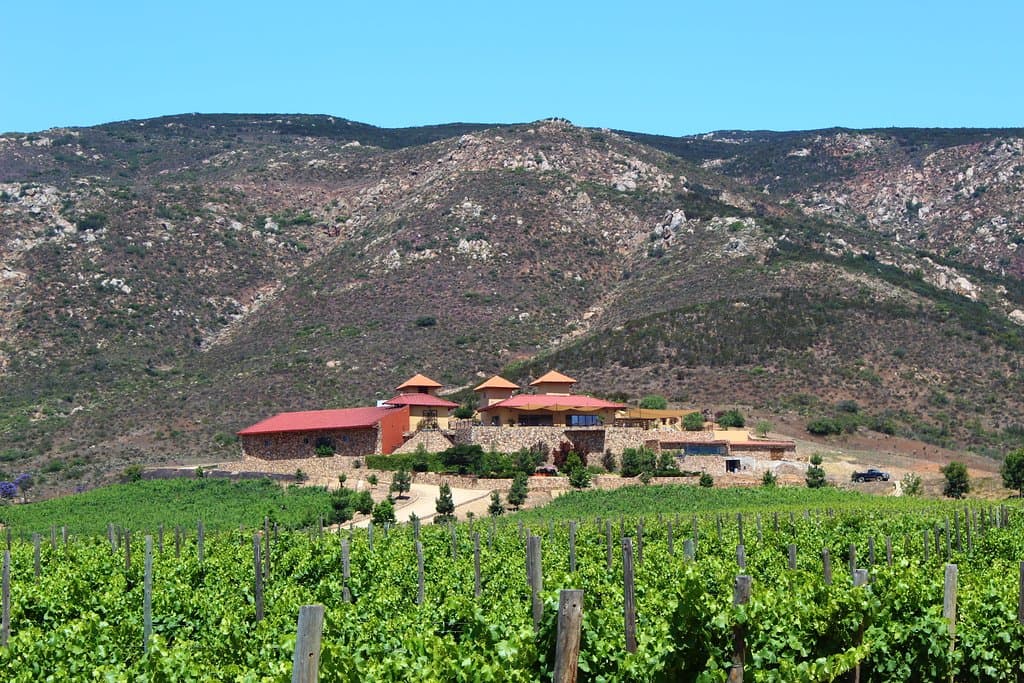 Esta es una foto de nuestra vinicola.