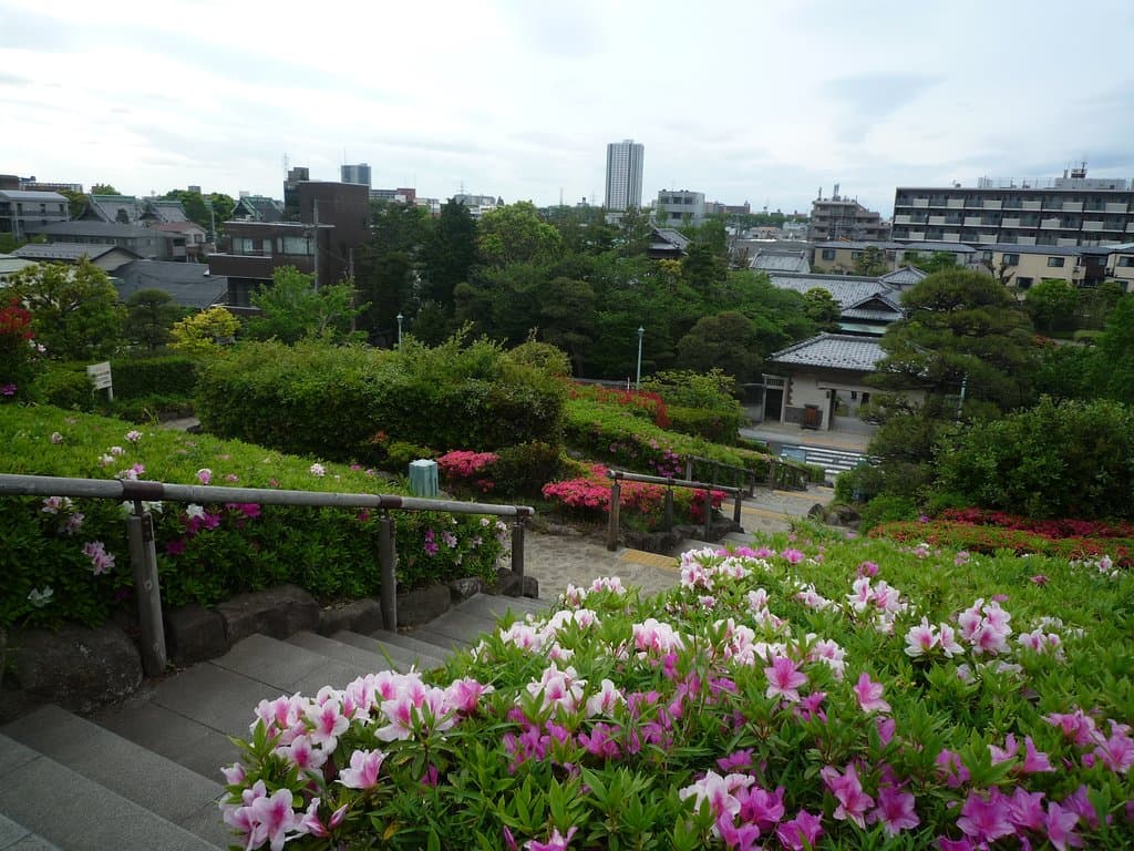 shibamata park０５