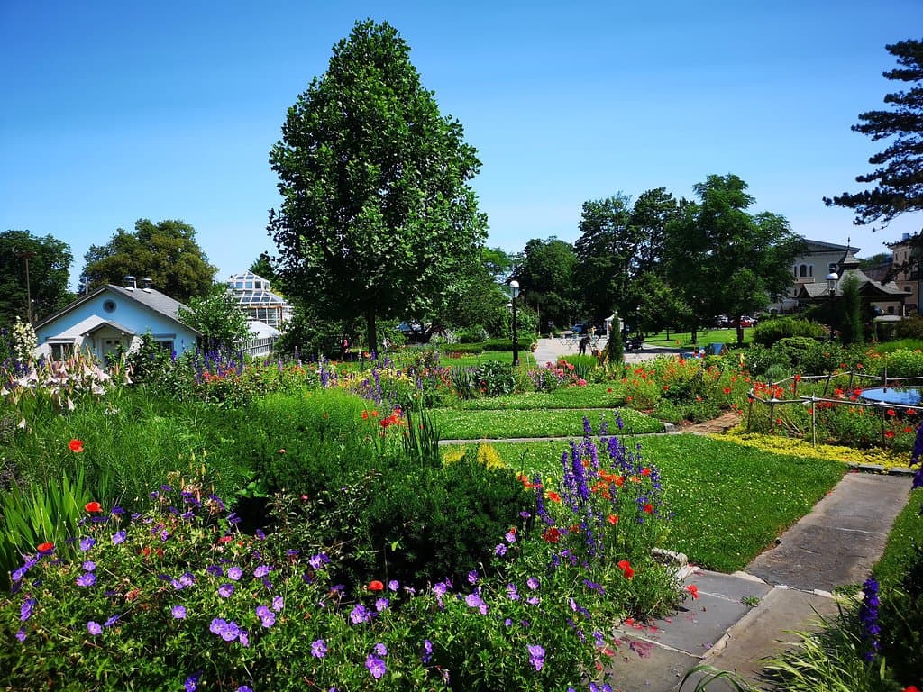 New York Chinese Scholar's Garden