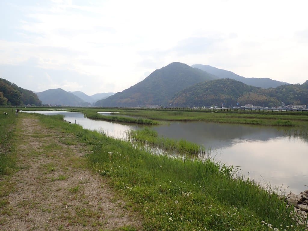 ハチゴロウとは2002年8月5日にこの地に飛来が確認されたコウノトリの愛称で、確認された8月5日にちなんで付けられたものです。　以来5年間毎年ここに飛来していたけども2007年に亡くなってしまったそうです。しかし、この地に他のコウノトリがいた記録は無く、ハチゴロウがここにいた5年間でコウノトリの生息について多くのことが確認できたんだそうです。