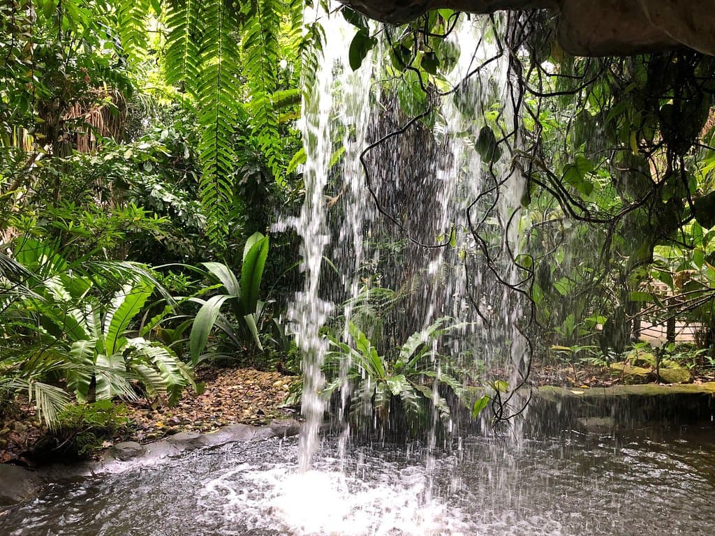 Play at Jacob Ballas Children's Garden