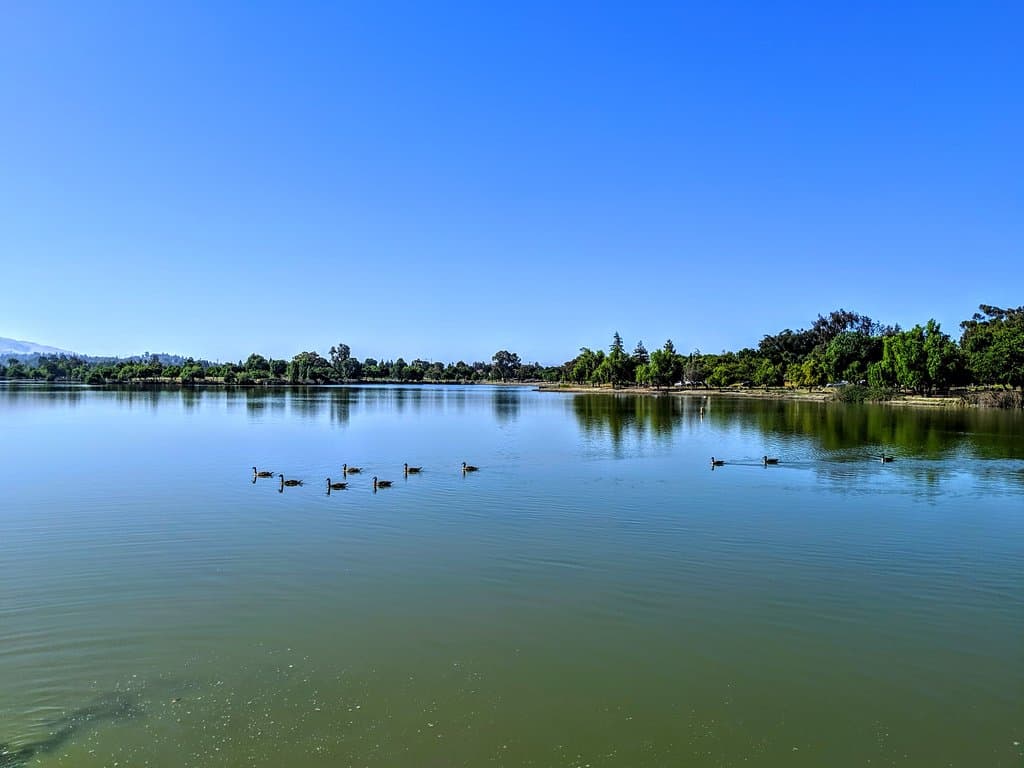 Fremont Central Park Lake Elizabeth