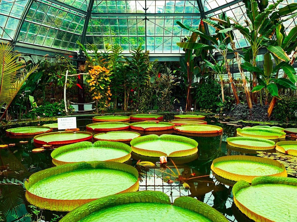 熱川バナナワニ園