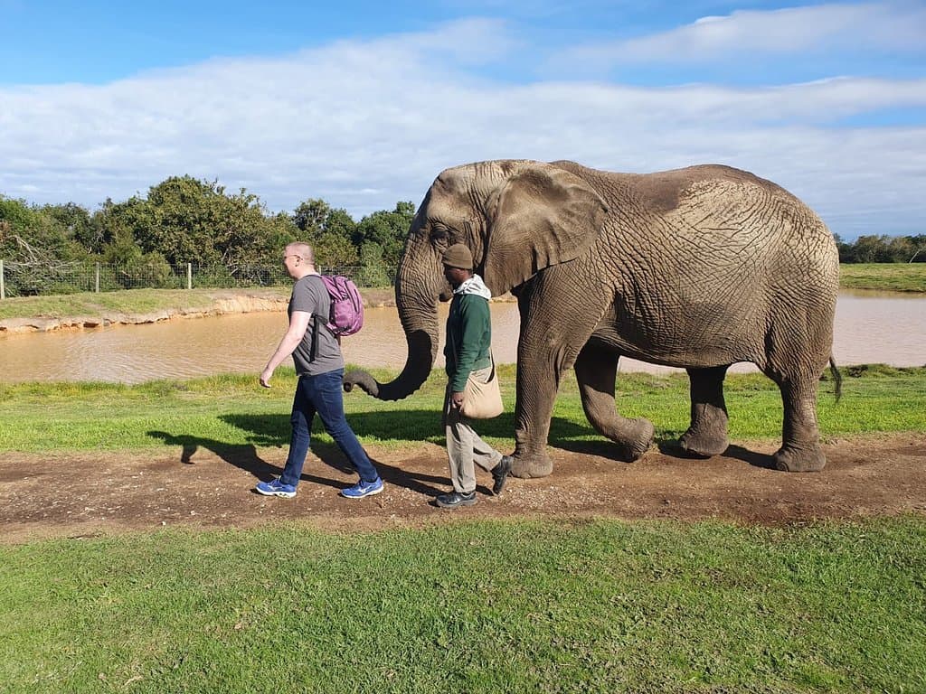 Elephant Sanctuary The Crags