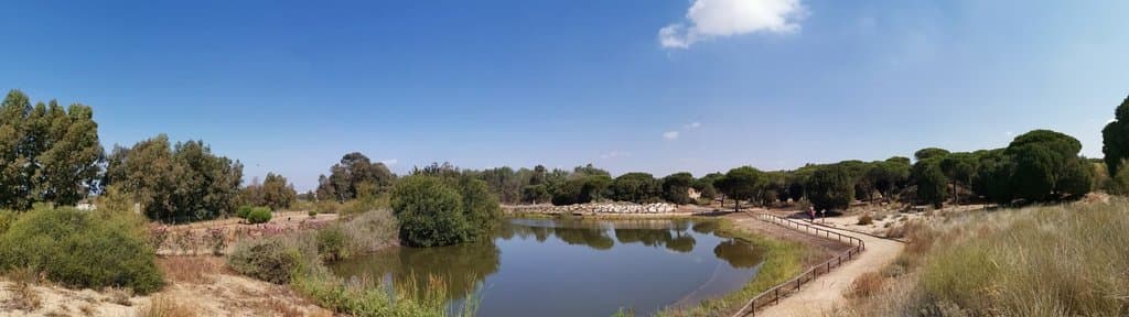 Panorámica del botánico Dunas del Odiel
