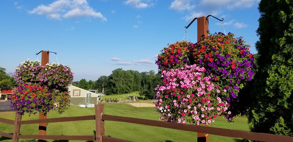 Outside the Activity Center