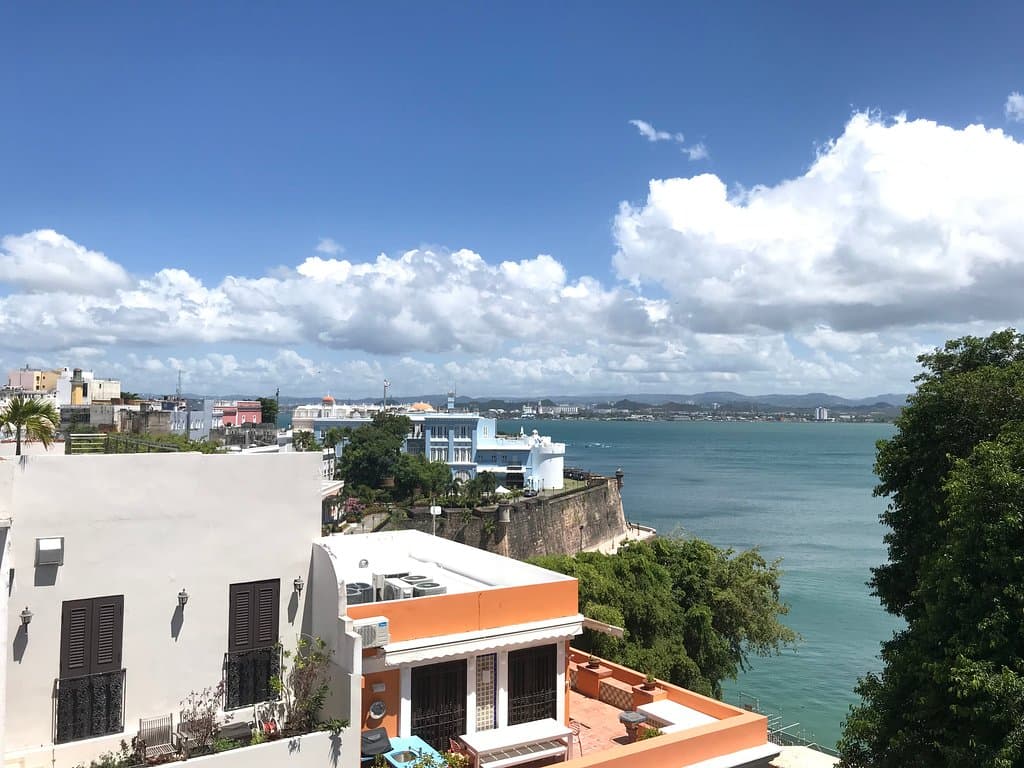 view
