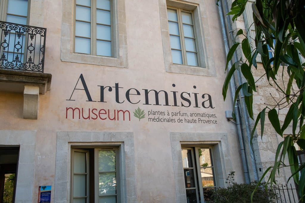 Entrée Artemisia museum