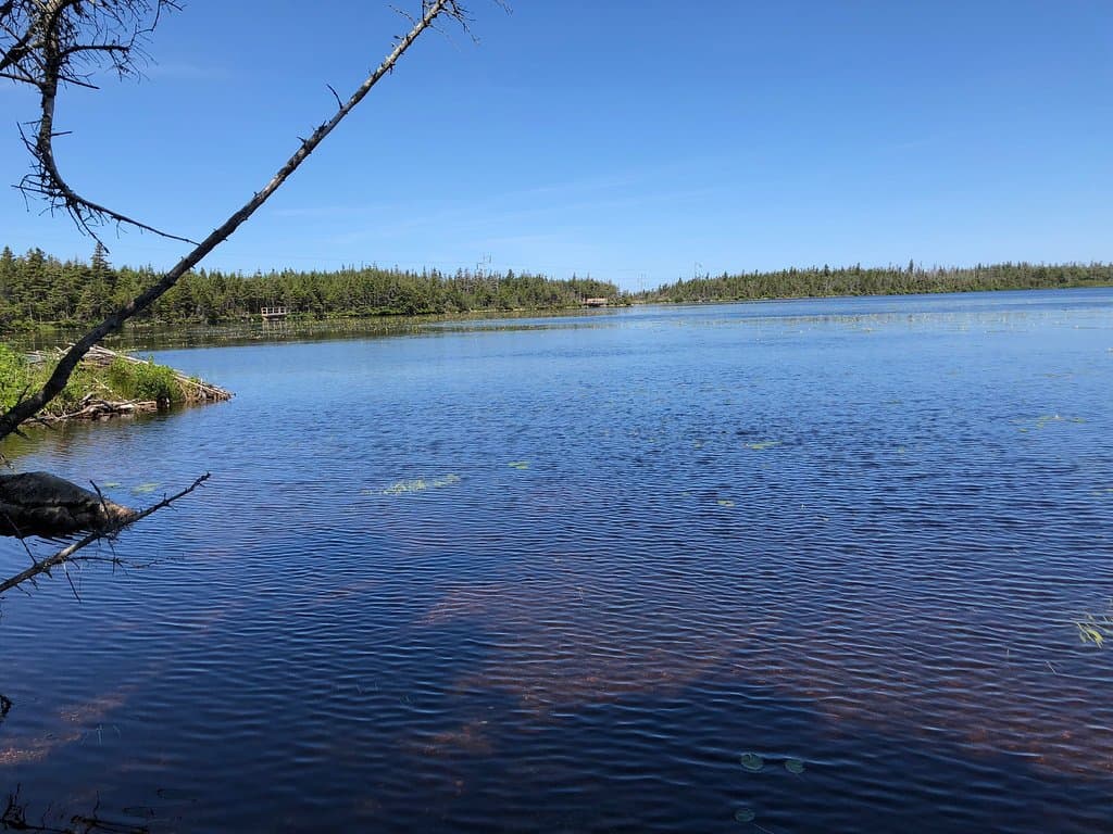 Berry Hill Campground
