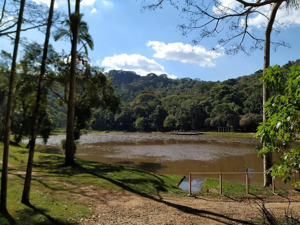Jardim Botânico UFJF