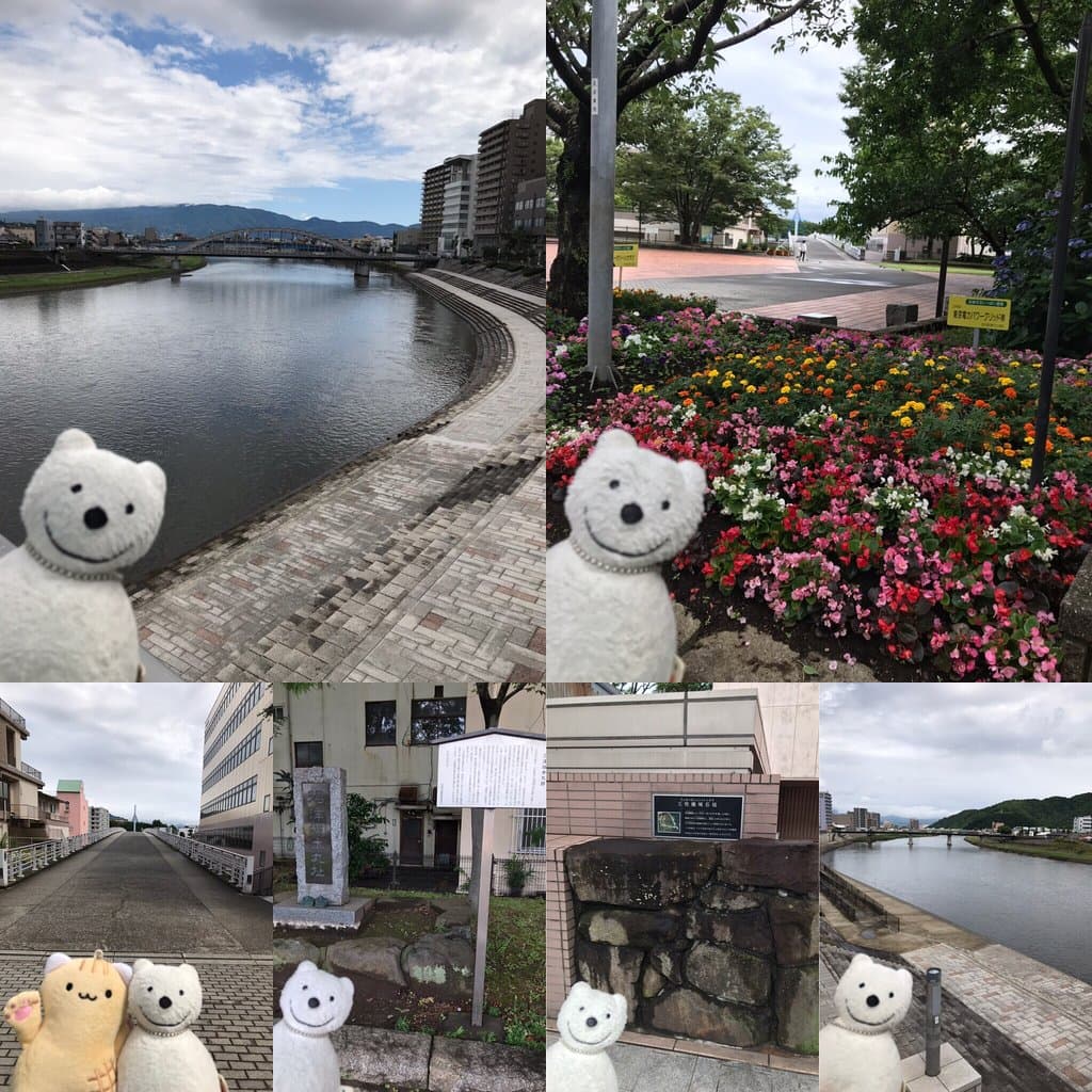 クマ散歩：沼津に品行方正なクマ出没 The Bear hung around Numazu！♪☆(^O^)／