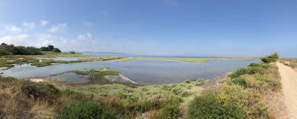 Île Sainte-Lucie Nature Reserve