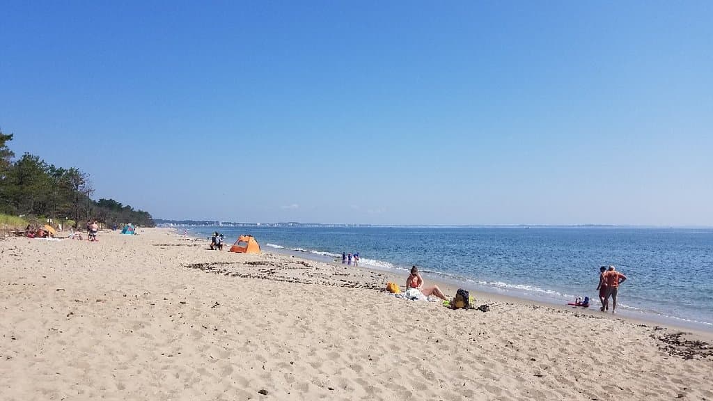 Ferry Beach State Park