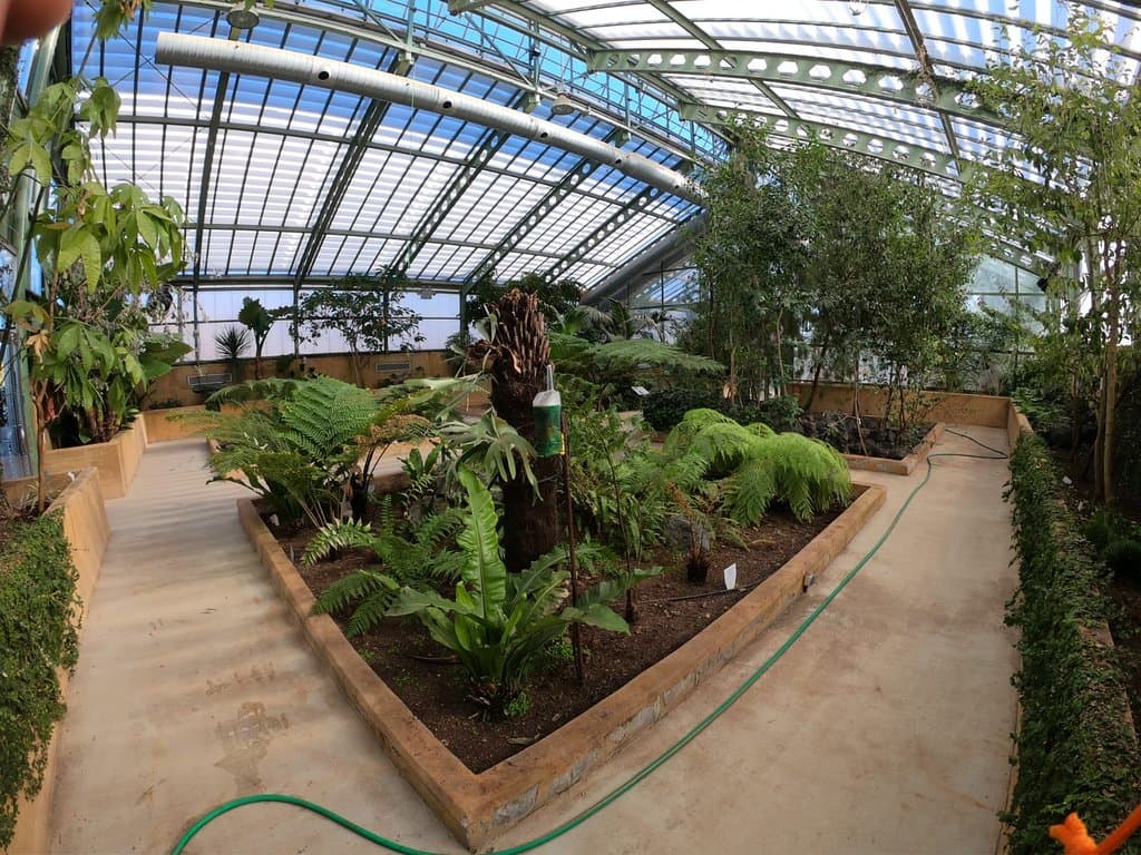 Invernadero de exposición. Parte de clima tropical.