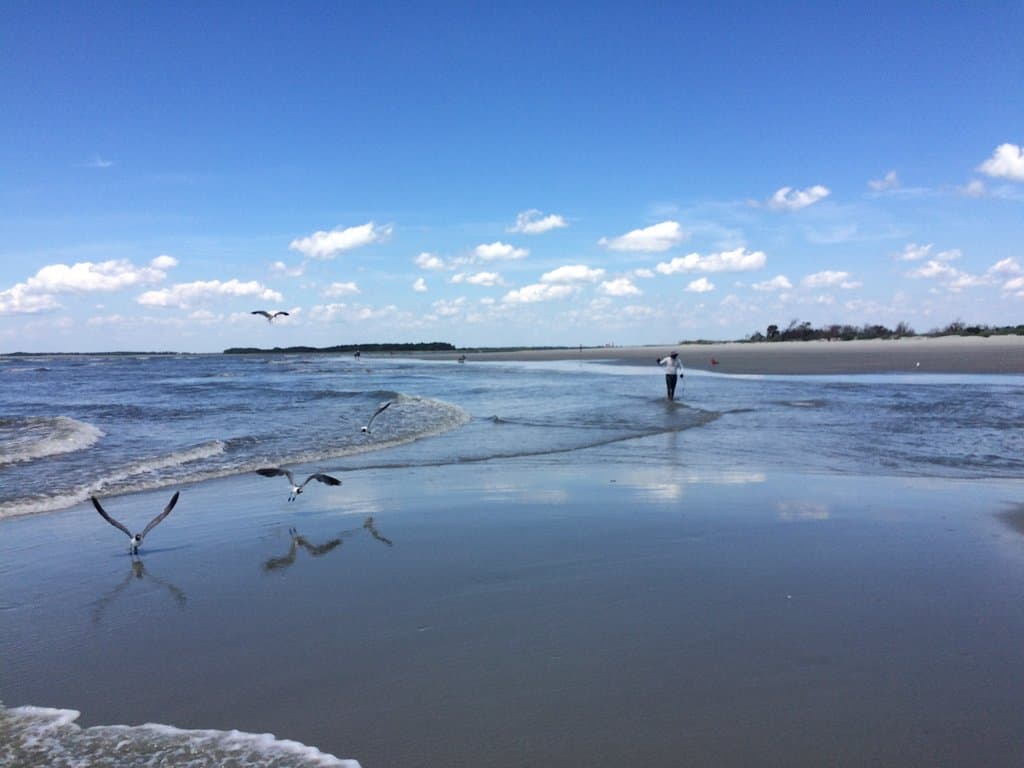 Where the ocean meets the river