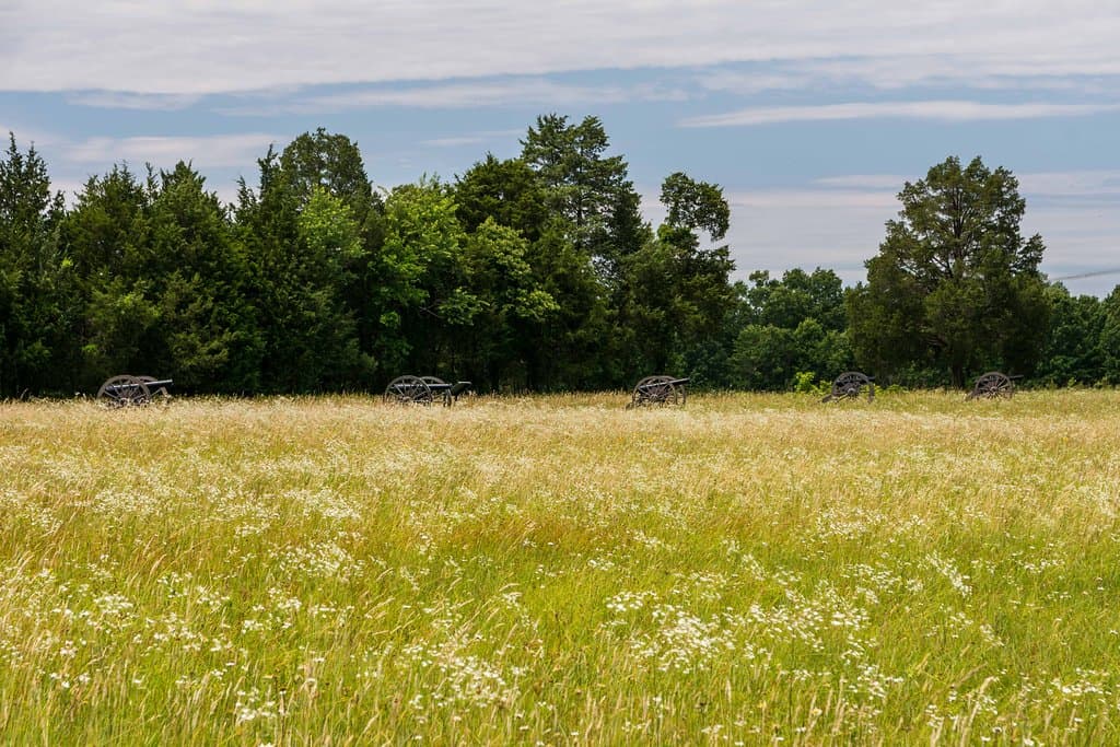 Cannon Near the Brawner Farm Used to Shell Union Forces Attacking the Deep Cut