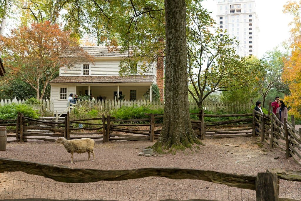 Wander the grounds of Smith Family Farm to learn about farming in the 19th century.