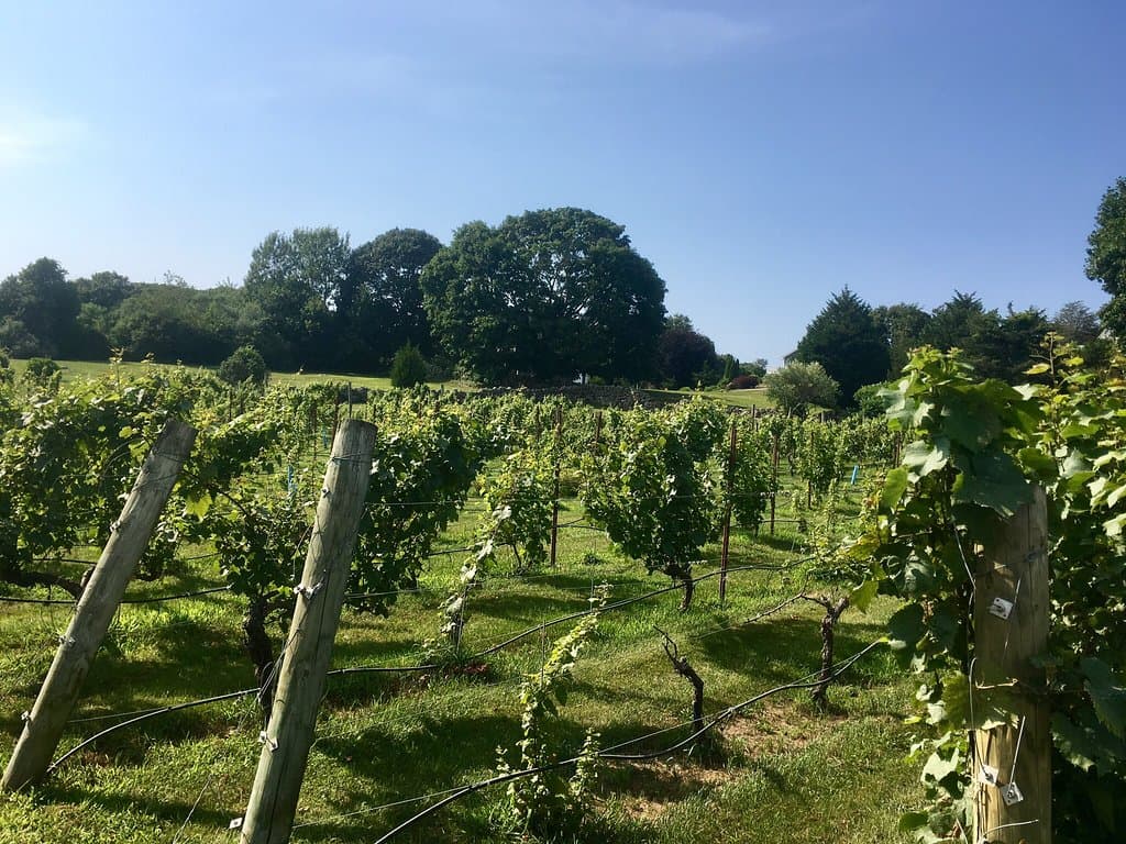 Langworthy Farm Winery