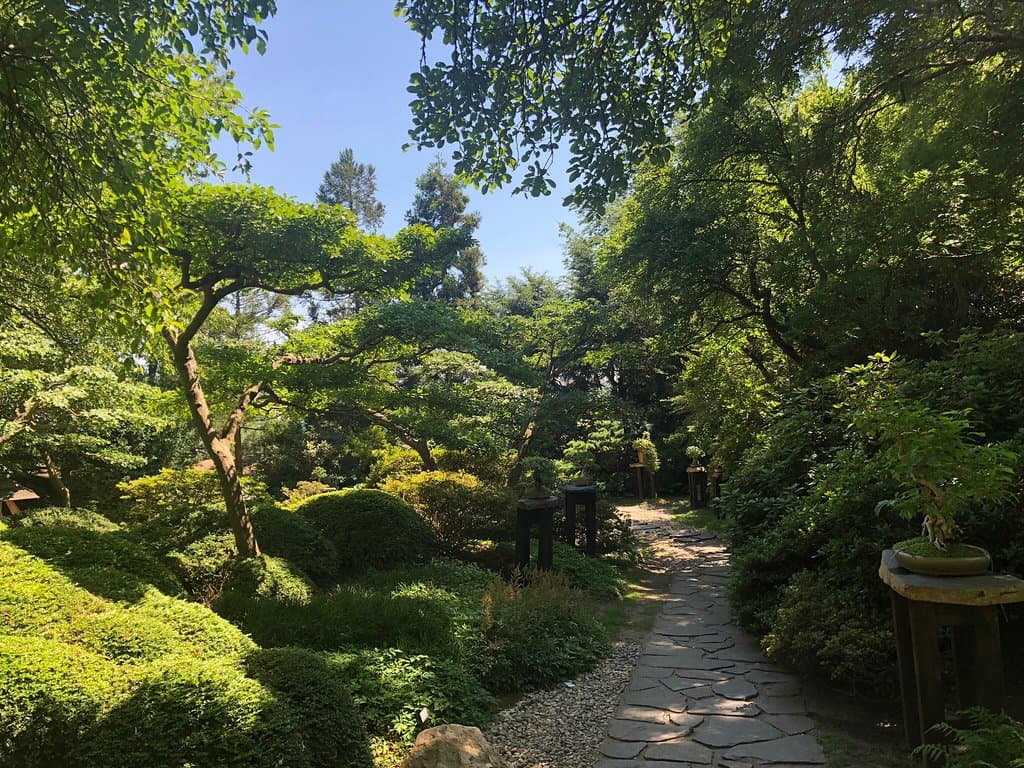 Japanese Garden at Botanical Gardens