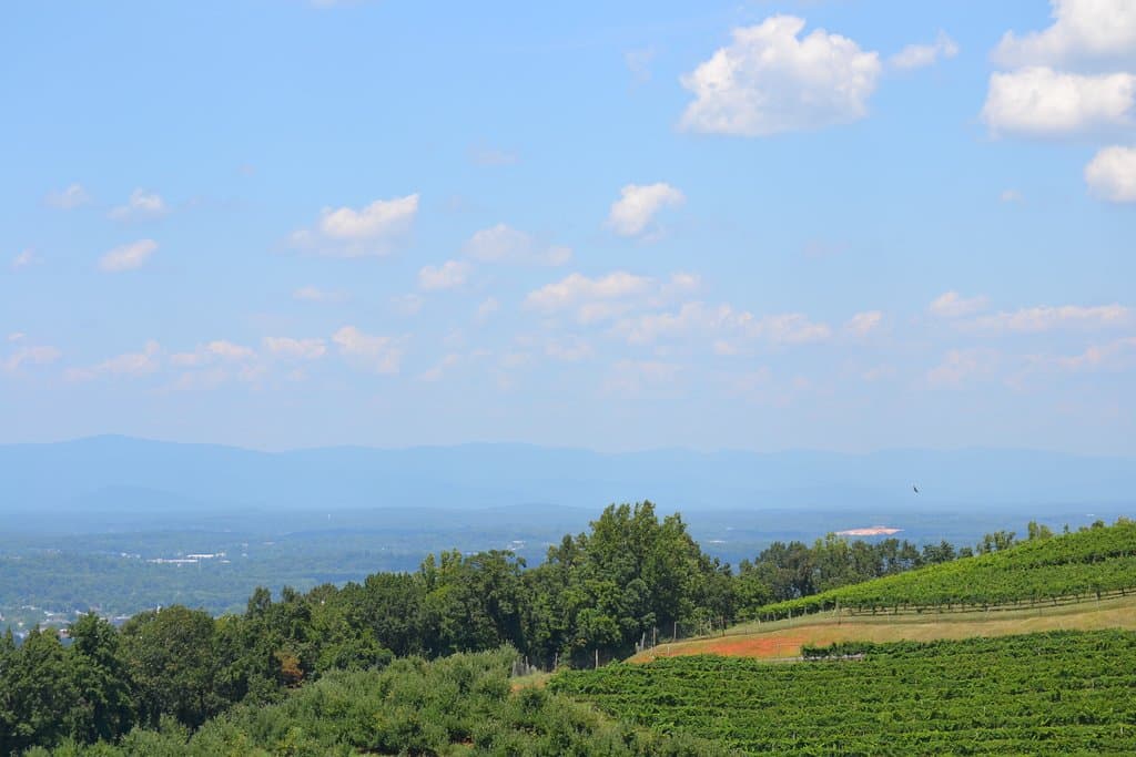Carter Mountain Orchard Charlottesville VA