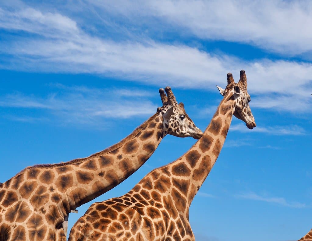 B Bryan Preserve Point Arena