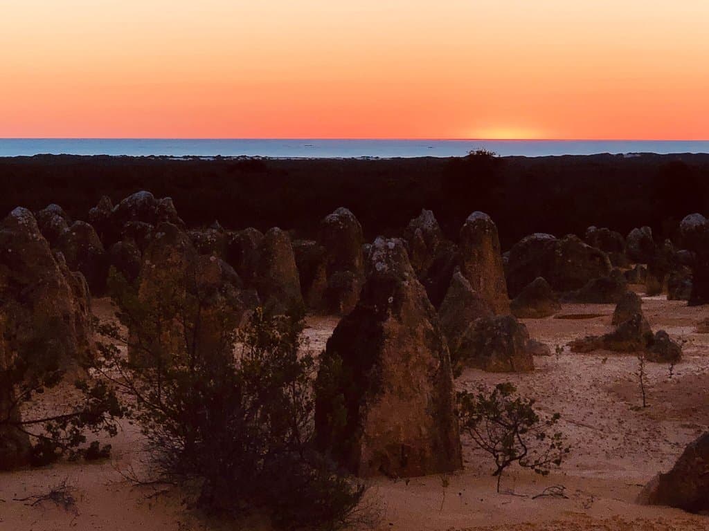 The Pinnacles Desert Nambung NP