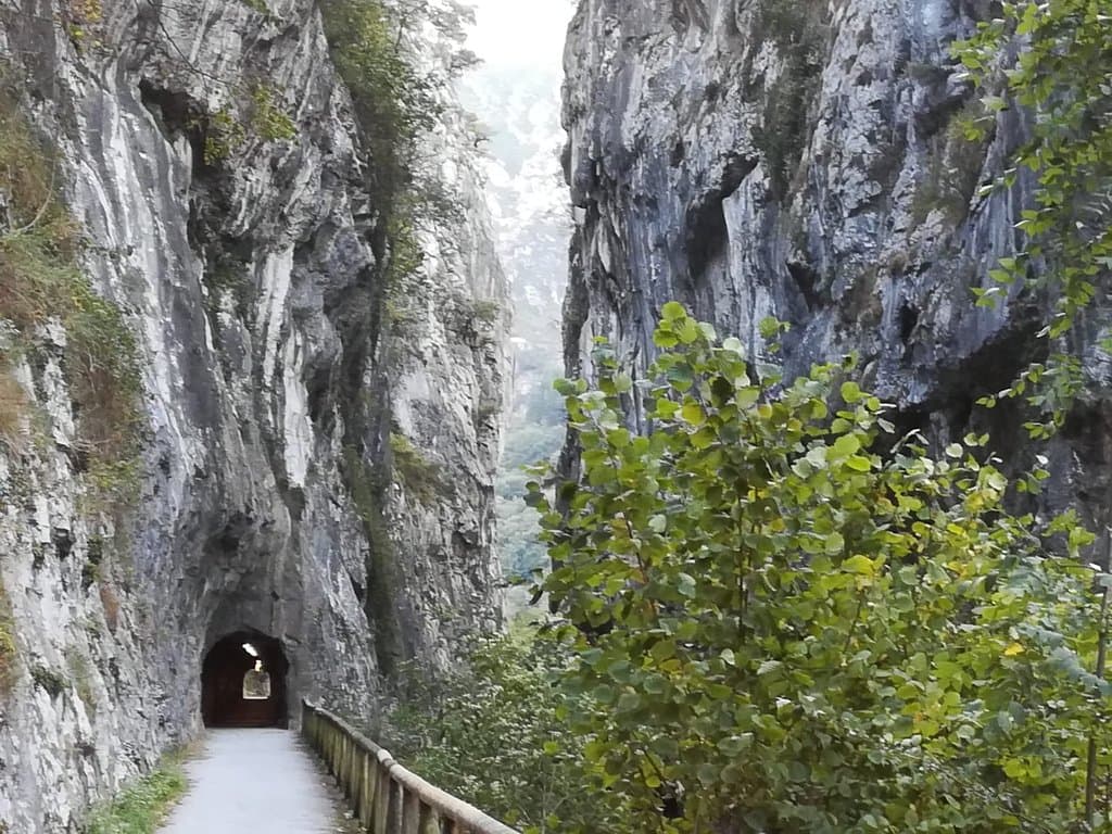 Senda del Oso Asturias