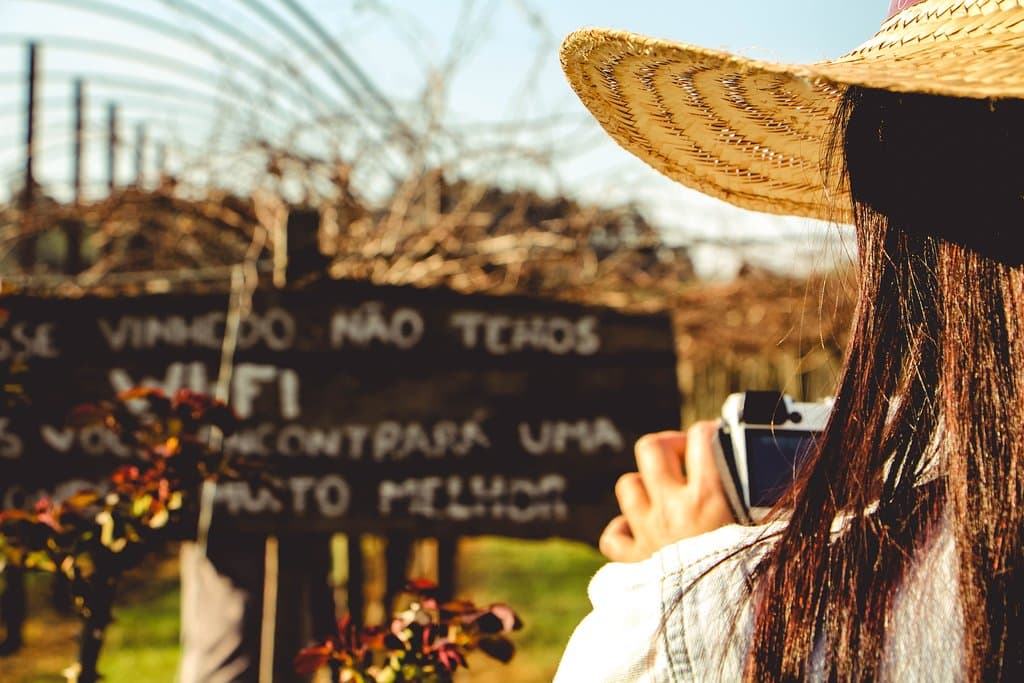 Nosso vinhedo de cepas antigas