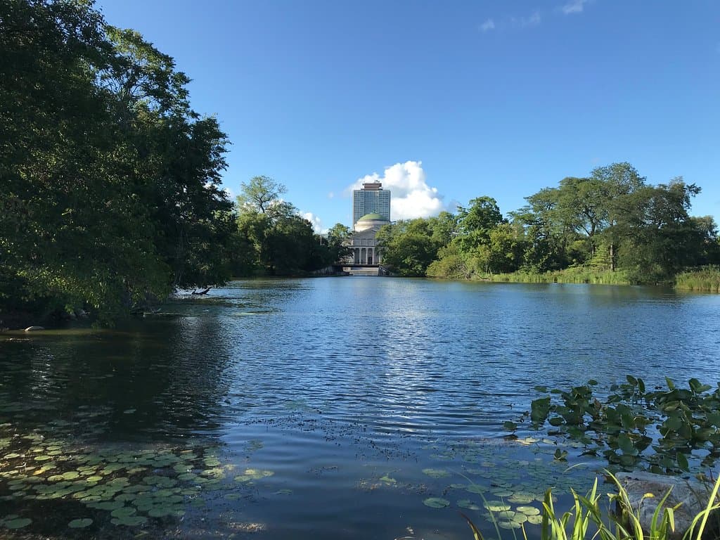 The 1893 Palace of Fine Arts (the largest surviving building from the Columbian Exposition...now the Museum of Science and Industry)...with a Lake Shore Drive high rise beyond...