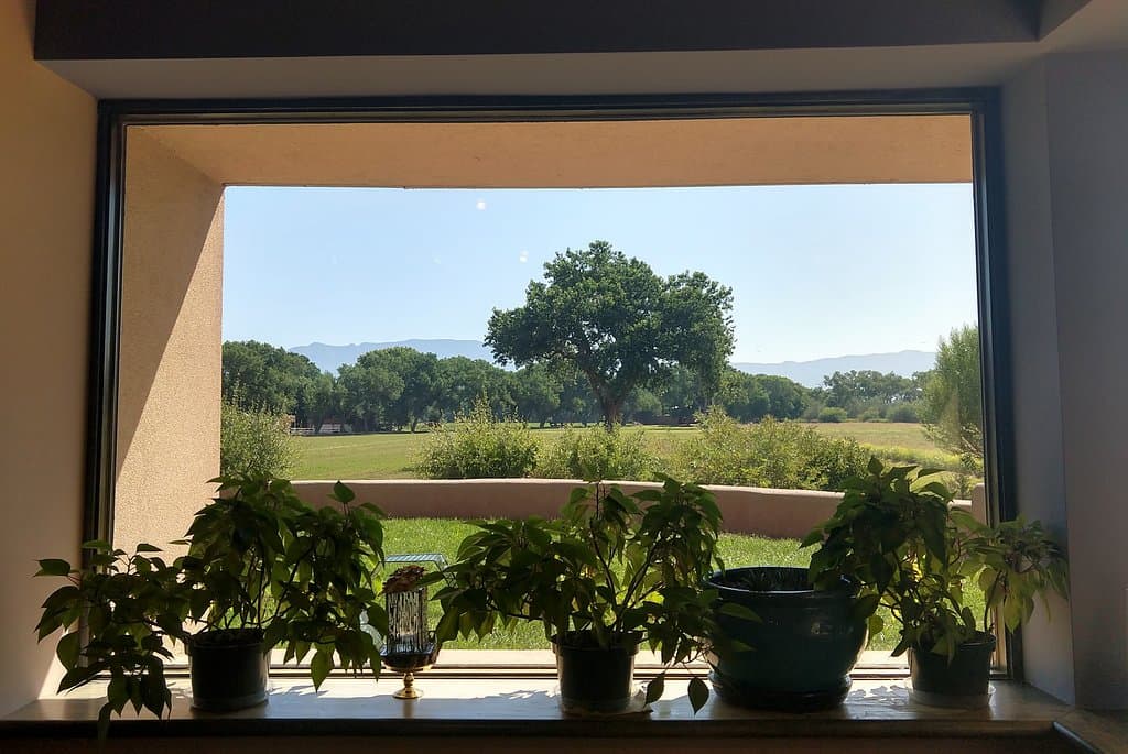 From one of the inside viewing areas