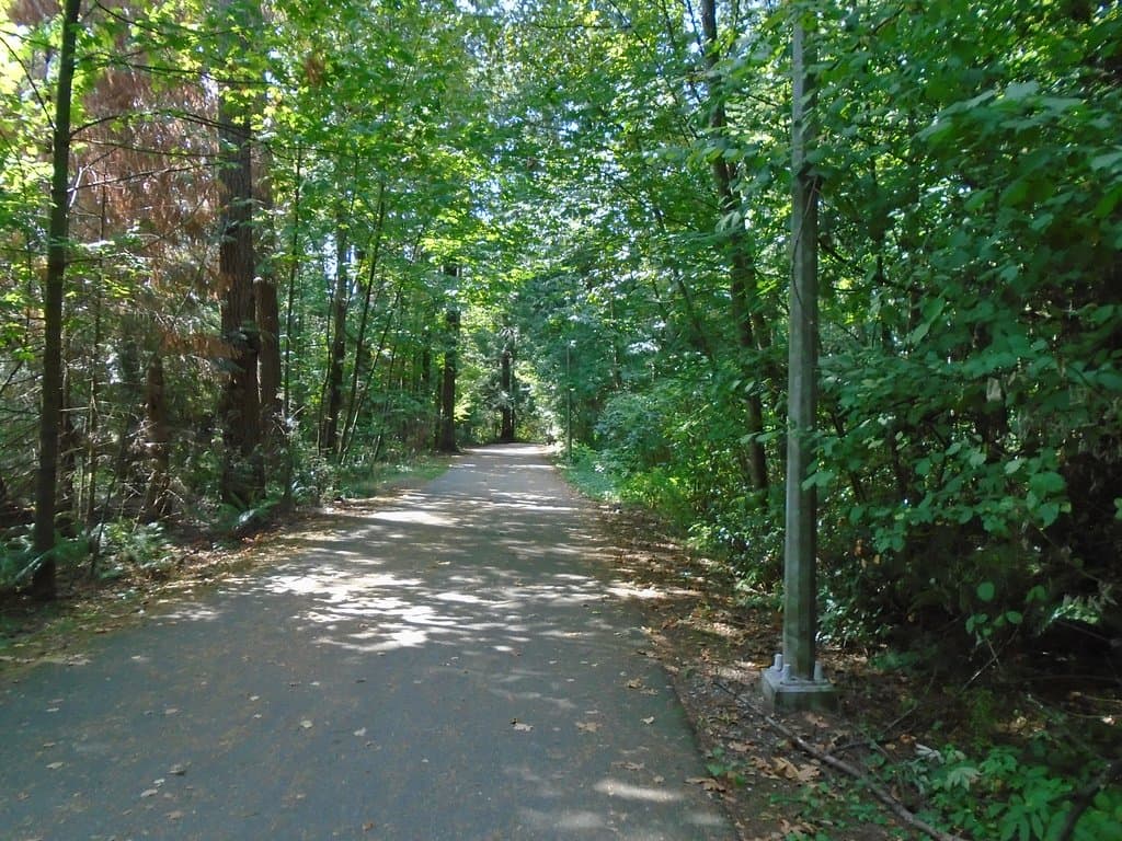 Wide pavement with gentle slope.