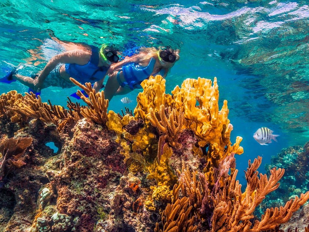 Paradise snorkel: explore Nizuc reef at your heart's content with this unlimited snorkel experience.
