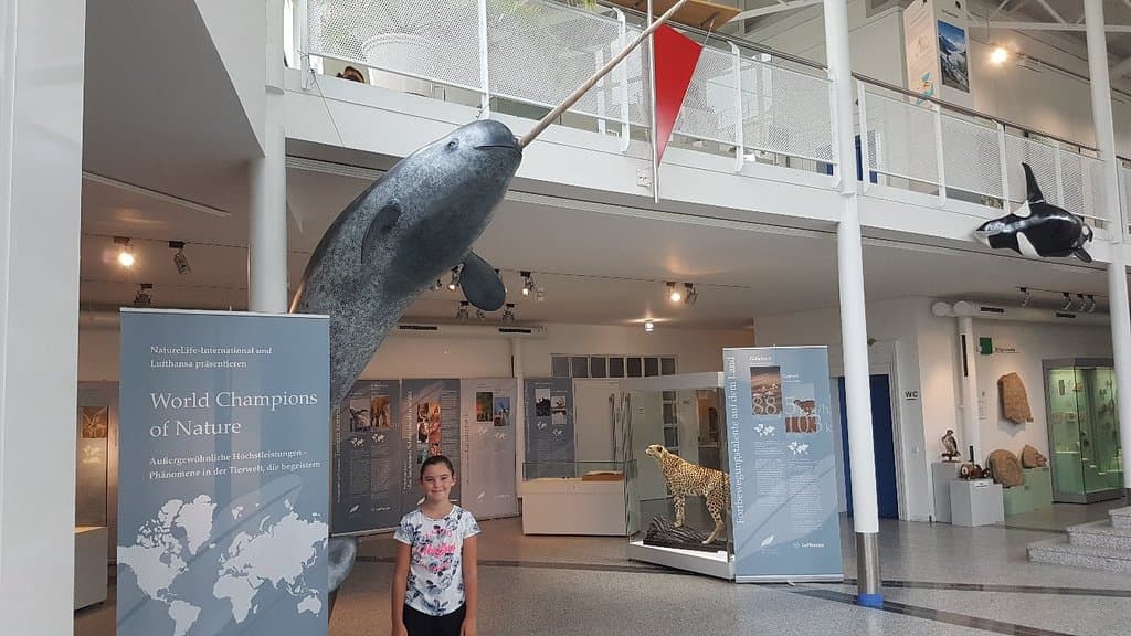 Naturkundemuseum Coburg