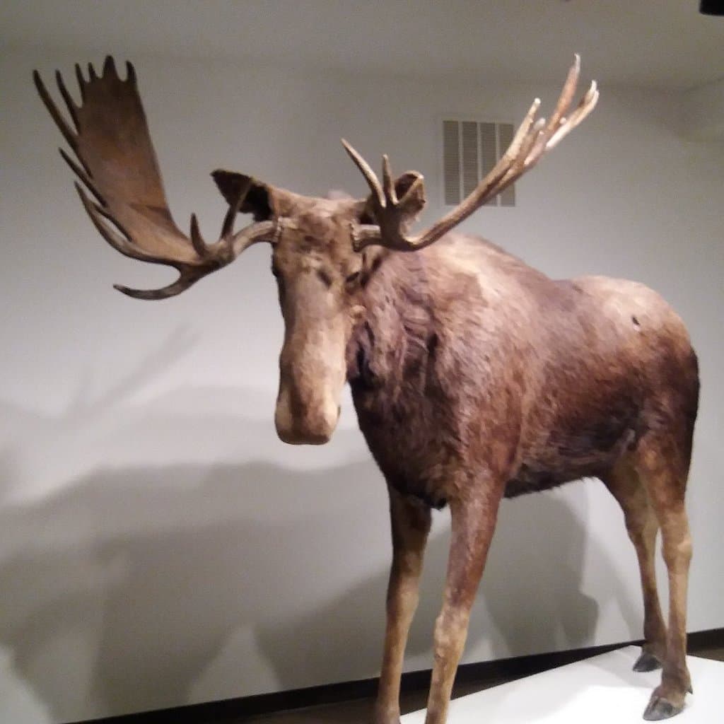 Kamloops Museum & Archives