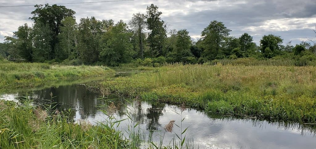White Memorial Conservation Center Litchfield CT