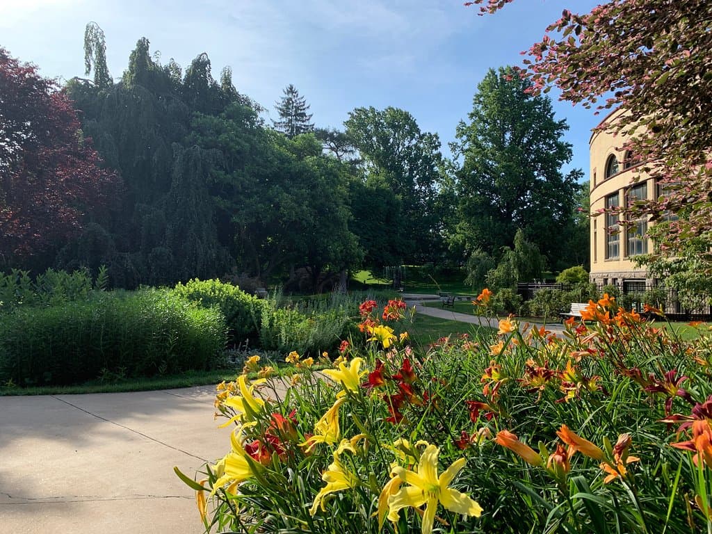 Summer In Wilcox Park