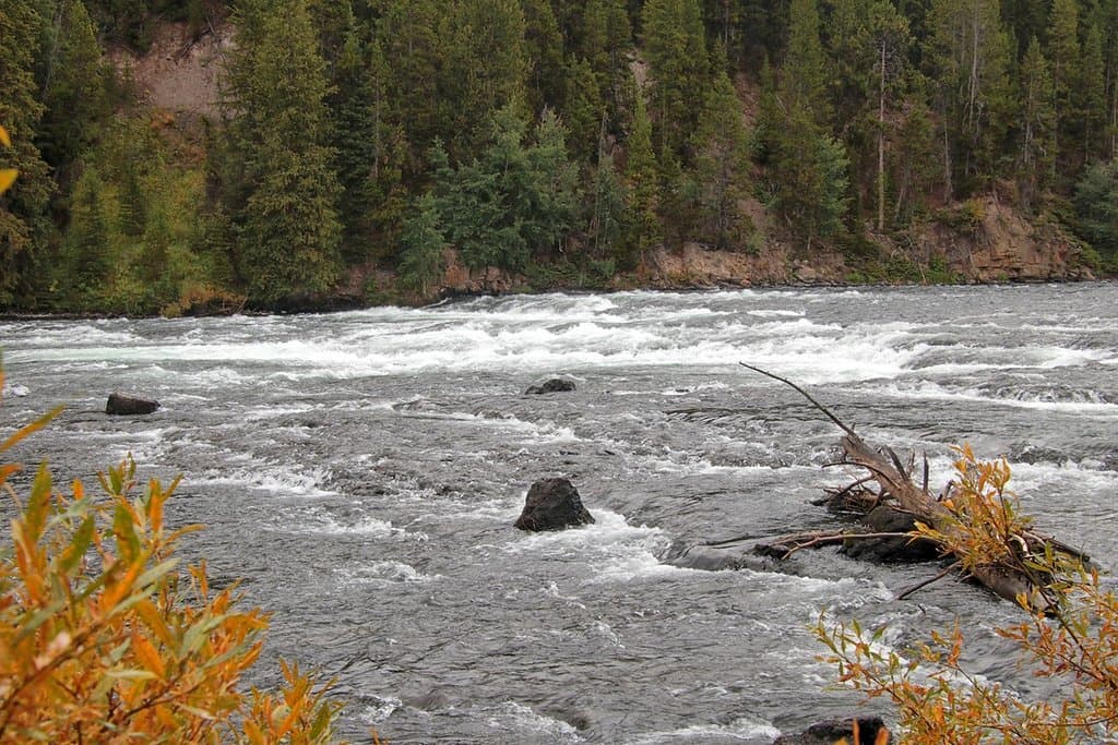 Rapids on a wide river.