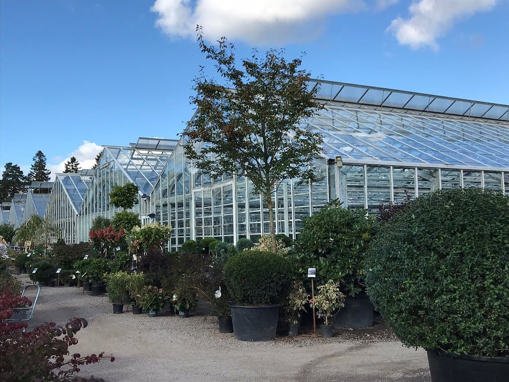 Ulriksdals Trädgård