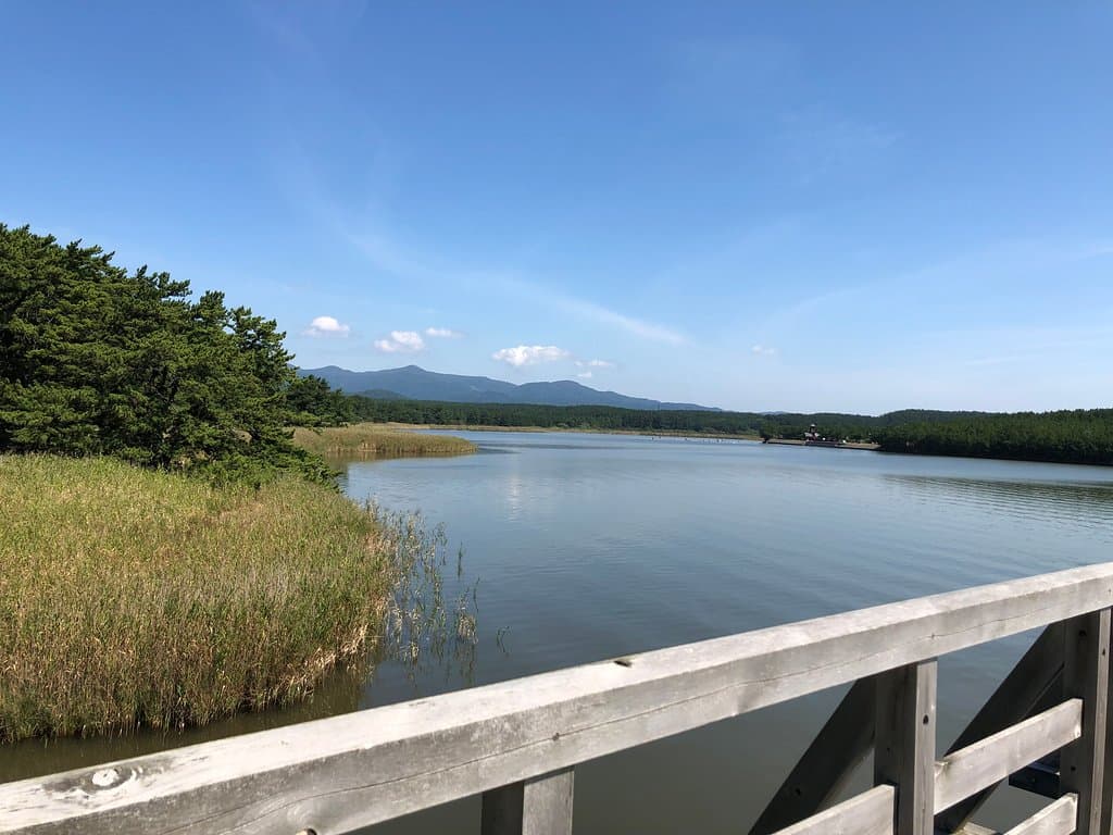 中の島遊歩道から