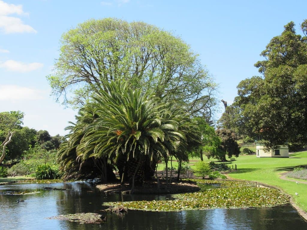 Pond